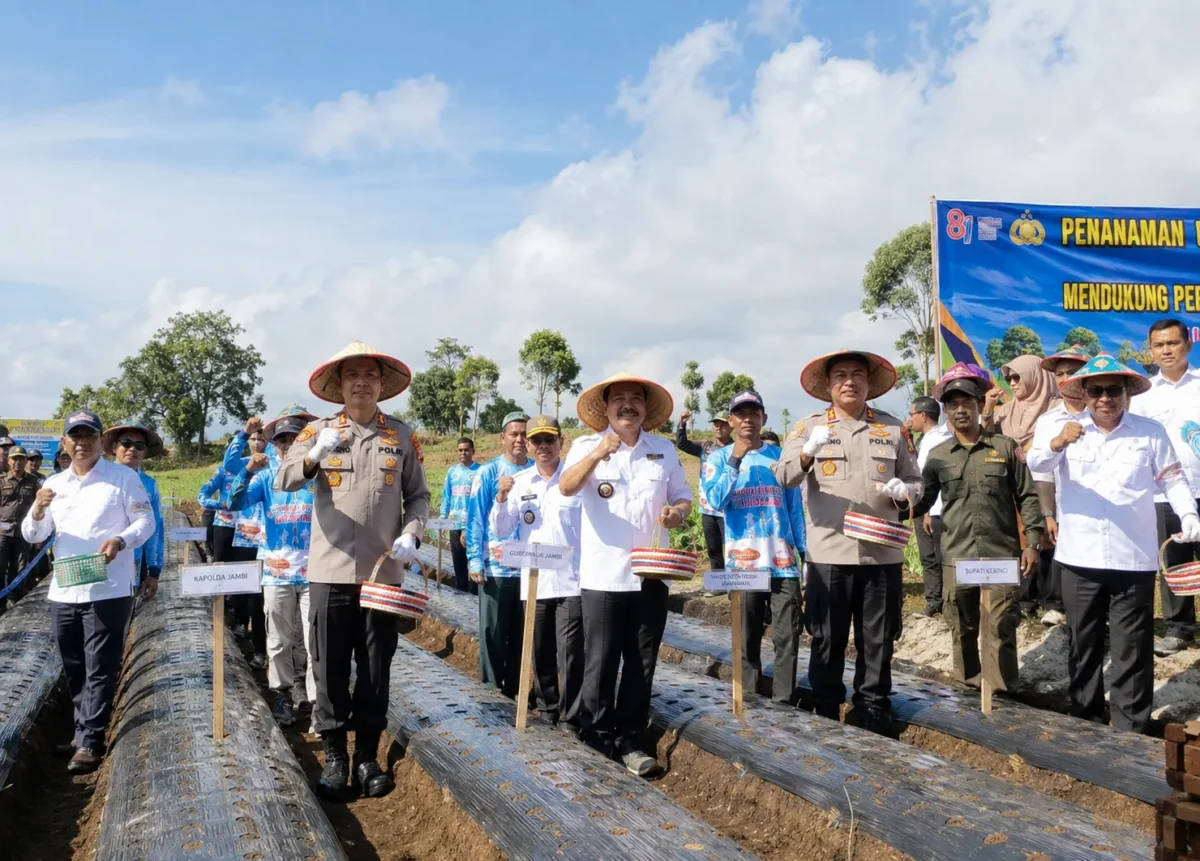 Perkuat Ketahanan Pangan, Wako Alfin Hadiri Gerakan Tanam Bawang Putih di Kayu Aro
(Foto: jambiekspres.
disway/AI)