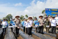 Perkuat Ketahanan Pangan, Wako Alfin Hadiri Gerakan Tanam Bawang Putih di Kayu Aro
(Foto: jambiekspres.
disway/AI)