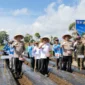 Perkuat Ketahanan Pangan, Wako Alfin Hadiri Gerakan Tanam Bawang Putih di Kayu Aro
(Foto: jambiekspres.
disway/AI)