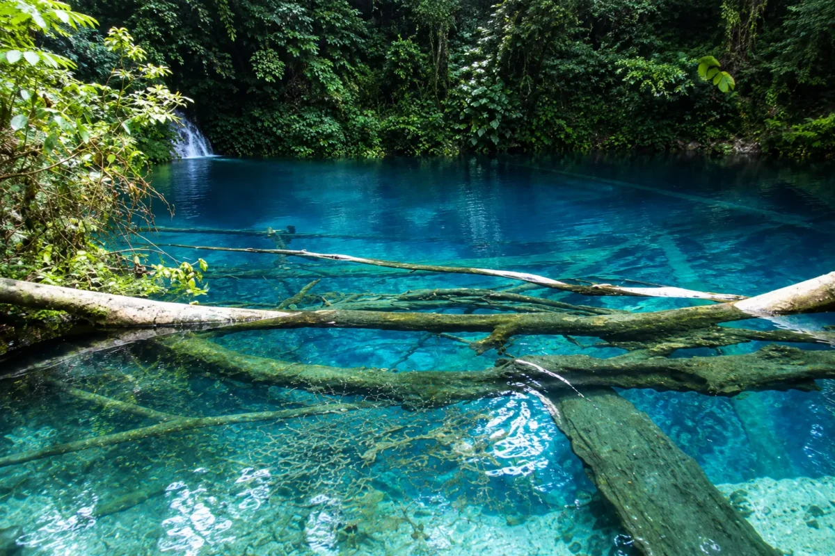Danau Kaco Kerinci, Pesona Aquarium Alami Tersembunyi di Tengah Hutan
(Foto: Juli Juhendi/d'Traveler
/detik/AI)
