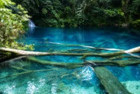 Danau Kaco Kerinci, Pesona Aquarium Alami Tersembunyi di Tengah Hutan
(Foto: Juli Juhendi/d'Traveler
/detik/AI)