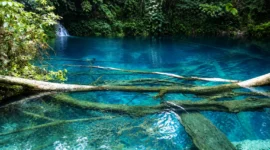 Danau Kaco Kerinci, Pesona Aquarium Alami Tersembunyi di Tengah Hutan
(Foto: Juli Juhendi/d'Traveler
/detik/AI)
