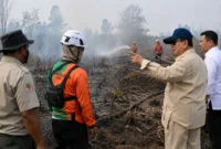 Karhutla Kubu Raya Membara, Prabowo Turun ke Lokasi dan Beri Instruksi Tegas
(Foto: ANTARA/HO-BPMI Sekretariat Presiden
/m.jpnn/AI)
