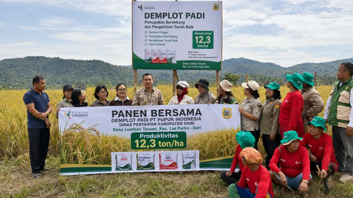 Produktivitas Padi Dairi Melejit 100 Persen, Capai 12,3 Ton per Hektare
(Foto: Dok.PT. Pupuk Indonesia/Mistar
/AI)