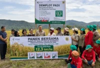 Produktivitas Padi Dairi Melejit 100 Persen, Capai 12,3 Ton per Hektare
(Foto: Dok.PT. Pupuk Indonesia/Mistar
/AI)