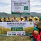 Produktivitas Padi Dairi Melejit 100 Persen, Capai 12,3 Ton per Hektare
(Foto: Dok.PT. Pupuk Indonesia/Mistar
/AI)