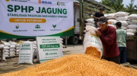 SPHP Jagung Tembus 127 Ribu Ton, Kementan Pastikan Peternak Kebagian
(Foto: koran-jakarta
/AI)