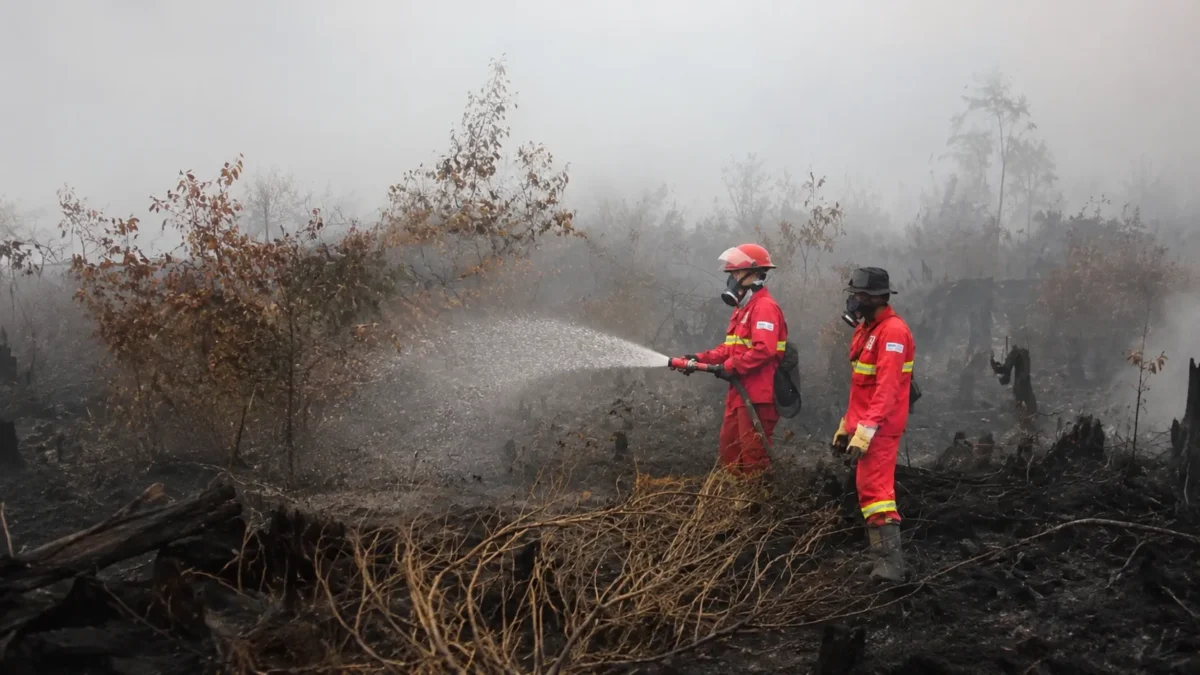 Karhutla Mengganas, Kualitas Udara di Sejumlah Wilayah Masuk Kategori Berbahaya
(Foto: Tribunnews/Dok. Kemenhut/AI)