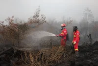 Karhutla Mengganas, Kualitas Udara di Sejumlah Wilayah Masuk Kategori Berbahaya
(Foto: Tribunnews/Dok. Kemenhut/AI)