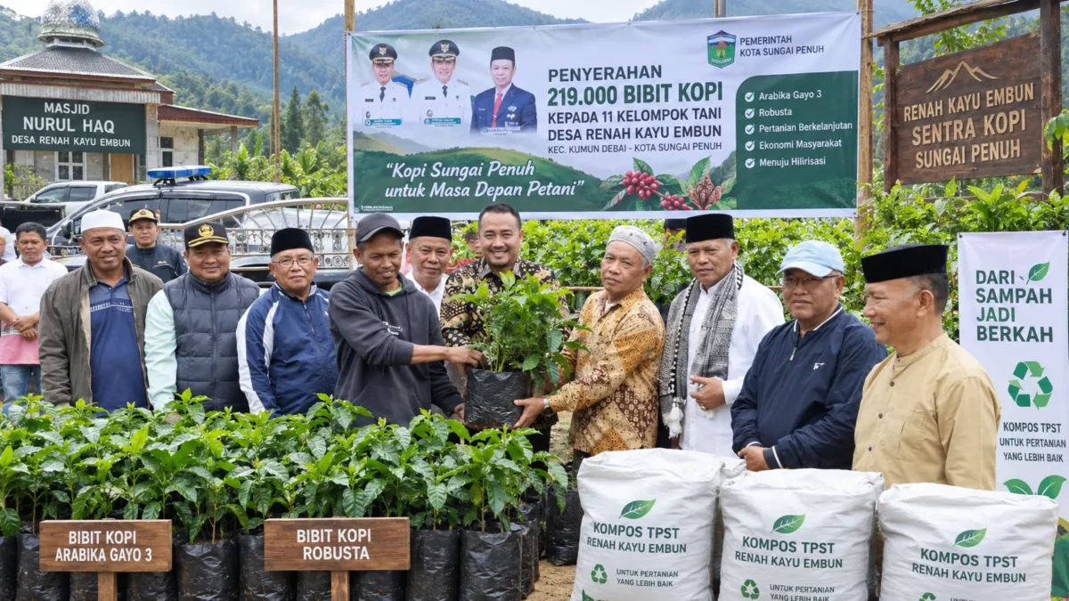 Sungai Penuh Punya Ambisi Baru, 219 Ribu Bibit Kopi Mulai Mengubah Renah Kayu Embun
(Foto: redaksisatu
/AI)