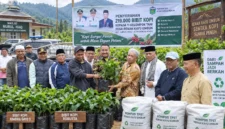 Sungai Penuh Punya Ambisi Baru, 219 Ribu Bibit Kopi Mulai Mengubah Renah Kayu Embun
(Foto: redaksisatu
/AI)
