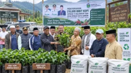 Sungai Penuh Punya Ambisi Baru, 219 Ribu Bibit Kopi Mulai Mengubah Renah Kayu Embun
(Foto: redaksisatu
/AI)