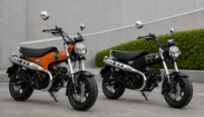 Tampil Beda! Honda ST125 Dax Kini Punya 2 Warna Baru, Harganya Segini
(Foto: Dok Asmo Sulsel/tribunnews
/AI)