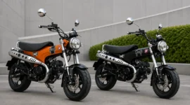 Tampil Beda! Honda ST125 Dax Kini Punya 2 Warna Baru, Harganya Segini
(Foto: Dok Asmo Sulsel/tribunnews
/AI)