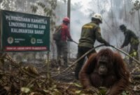 Karhutla Mengancam Satwa Kalbar, Pencegahan Jadi Benteng Utama
(Foto: ugm/AI)