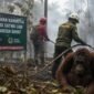 Karhutla Mengancam Satwa Kalbar, Pencegahan Jadi Benteng Utama
(Foto: ugm/AI)