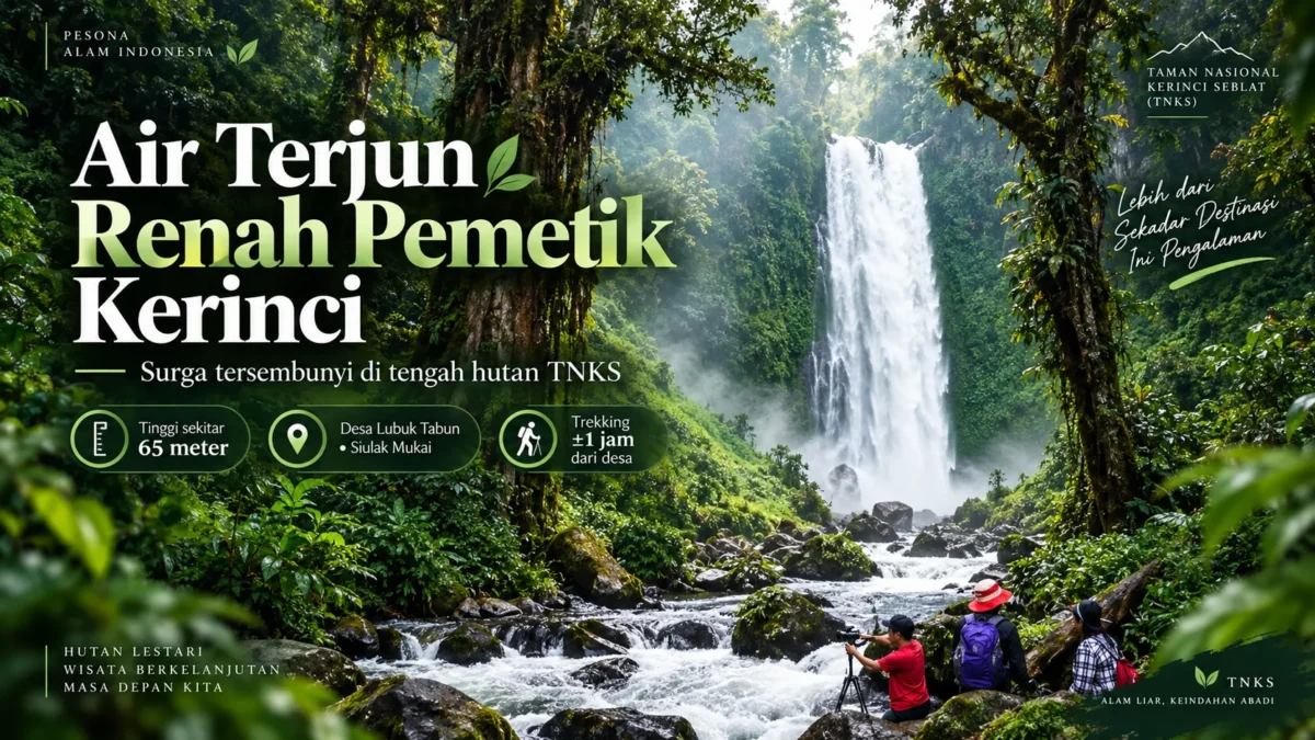 Pesona Renah Pemetik, Air Terjun Eksotis yang Tersembunyi di TNKS
(Foto: ist/tribunnews
/AI)