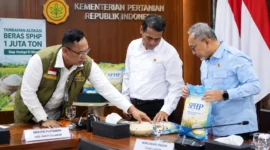 Hadapi El Nino, Pemerintah Tambah 1 Juta Ton Beras SPHP Mulai Oktober
(Foto: Dok. Kementan
/tekno.readers/AI)