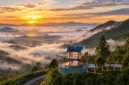 Bukit Khayangan Sungai Penuh, Negeri di Atas Awan yang Bikin Terpukau
(Foto: wisata.sungaipenuhkota/AI)